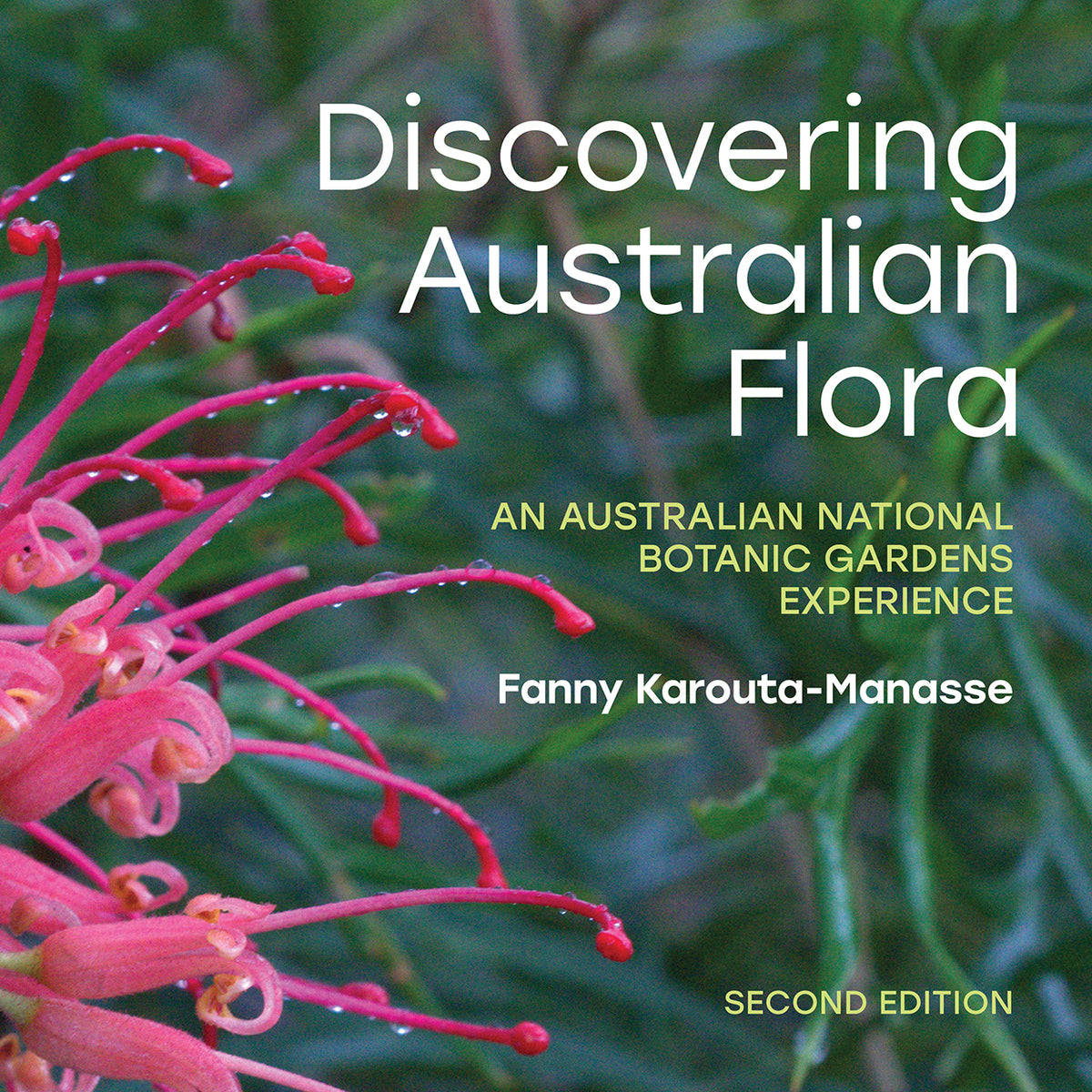 buy-discovering-australian-flora-the-chart-map-shop