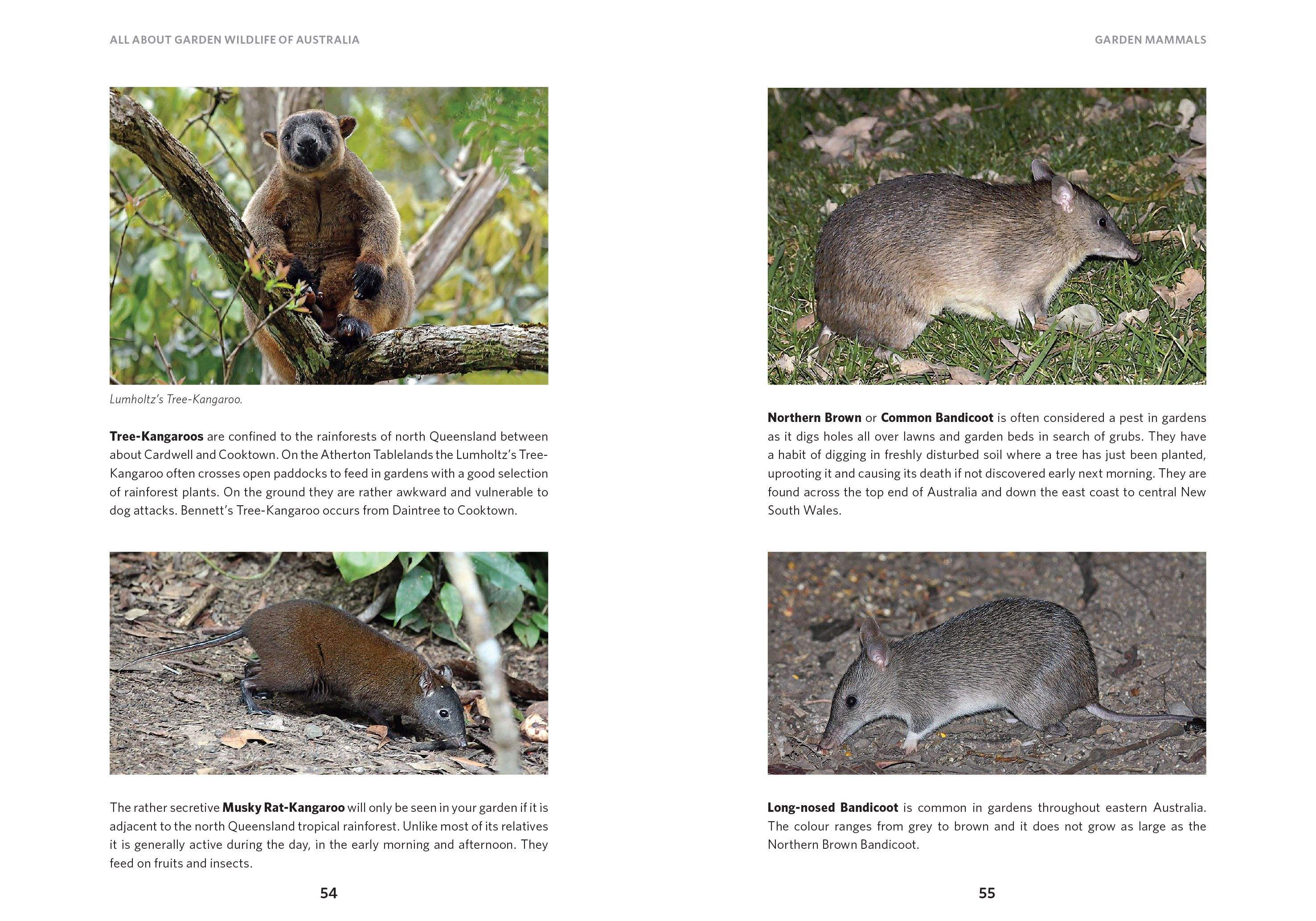 Buy All About Garden Wildlife of Australia – The Chart & Map Shop