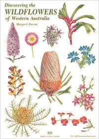 Buy Discovering Wildflowers of Western Australia by Margaret Pieroni ...