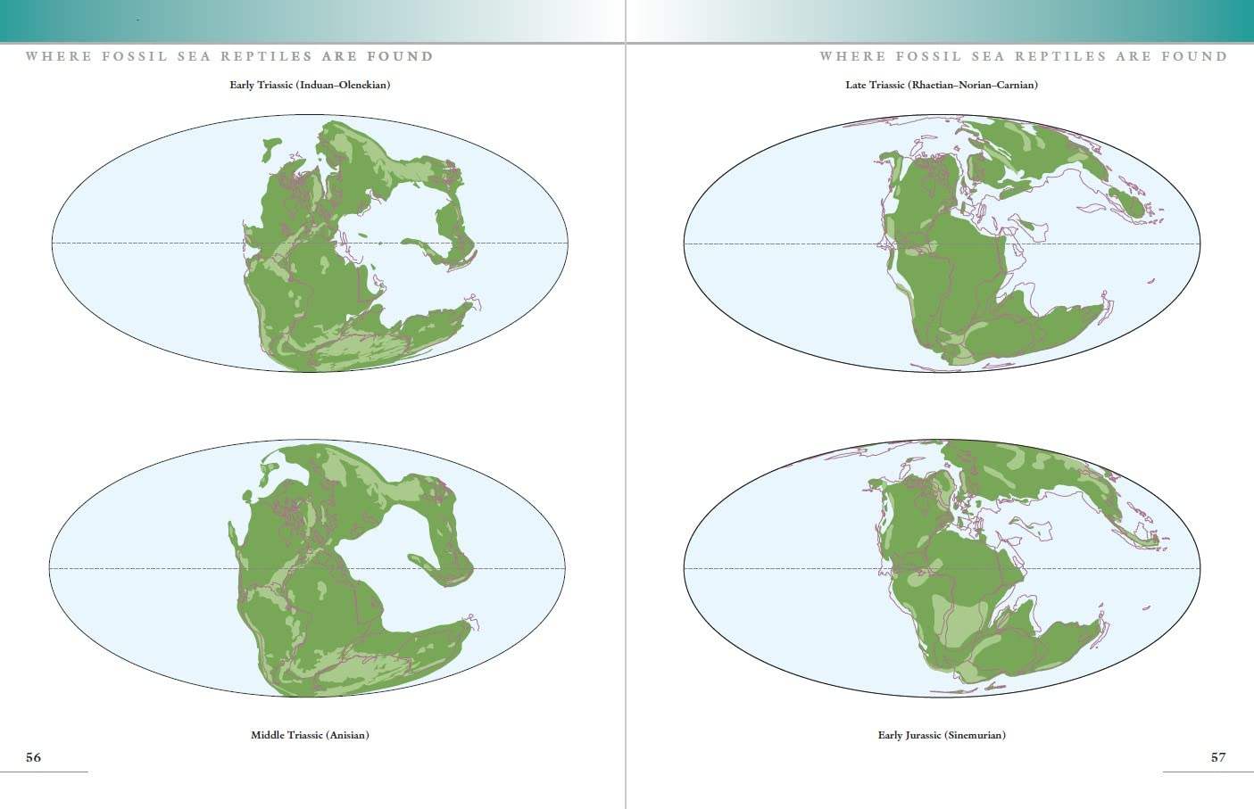 Buy The Princeton Field Guide To Mesozoic Sea Reptiles – The Chart 