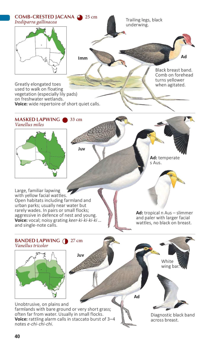 Buy The Compact Australian Bird Guide – The Chart & Map Shop